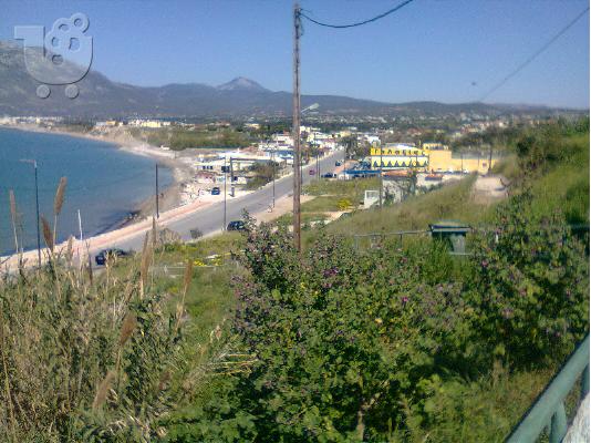 ΠΑΡΑΘΑΛΛΑΣΙΟ ΟΙΚΟΠΕΔΟ ΜΕΓΑΛΗ ΕΥΚΑΙΡΙΑ ΣΤΗΝ ΚΟΡΙΝΘΟ...